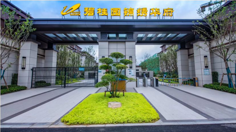 从一次项目交付，看懂碧桂园的产品力-大河新闻
