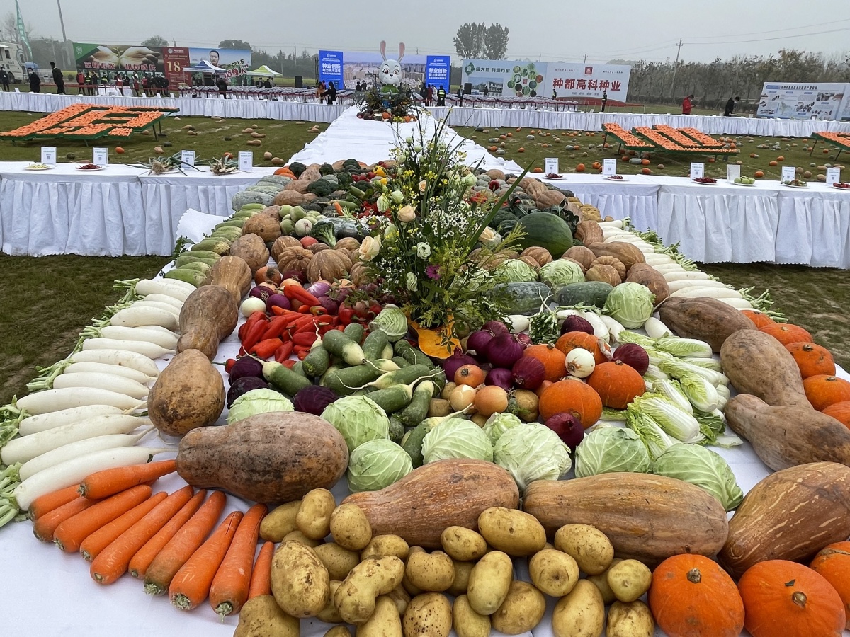 2021年蔬菜博览会图片图片