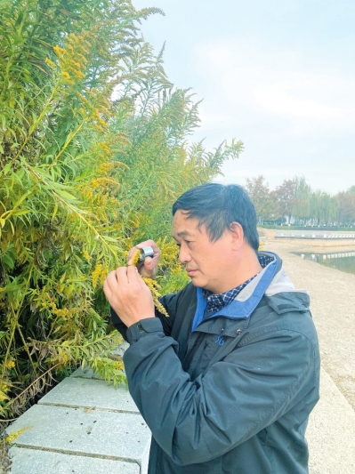 河南农业大学李家美教授正在公园观察网友 反映的植物