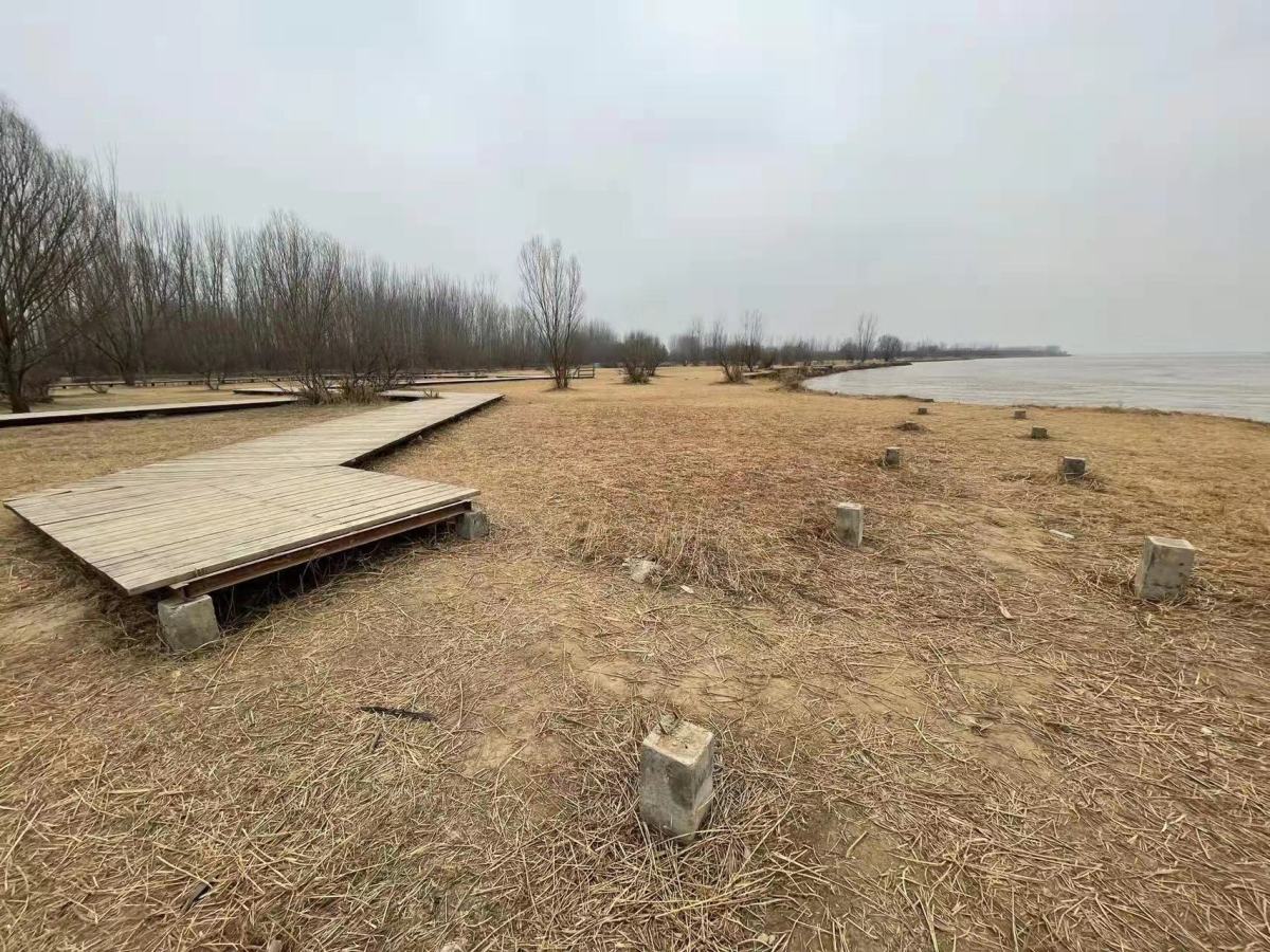 郑州黄河国家湿地公园设施能修缮吗 管理部门:正在采取措施