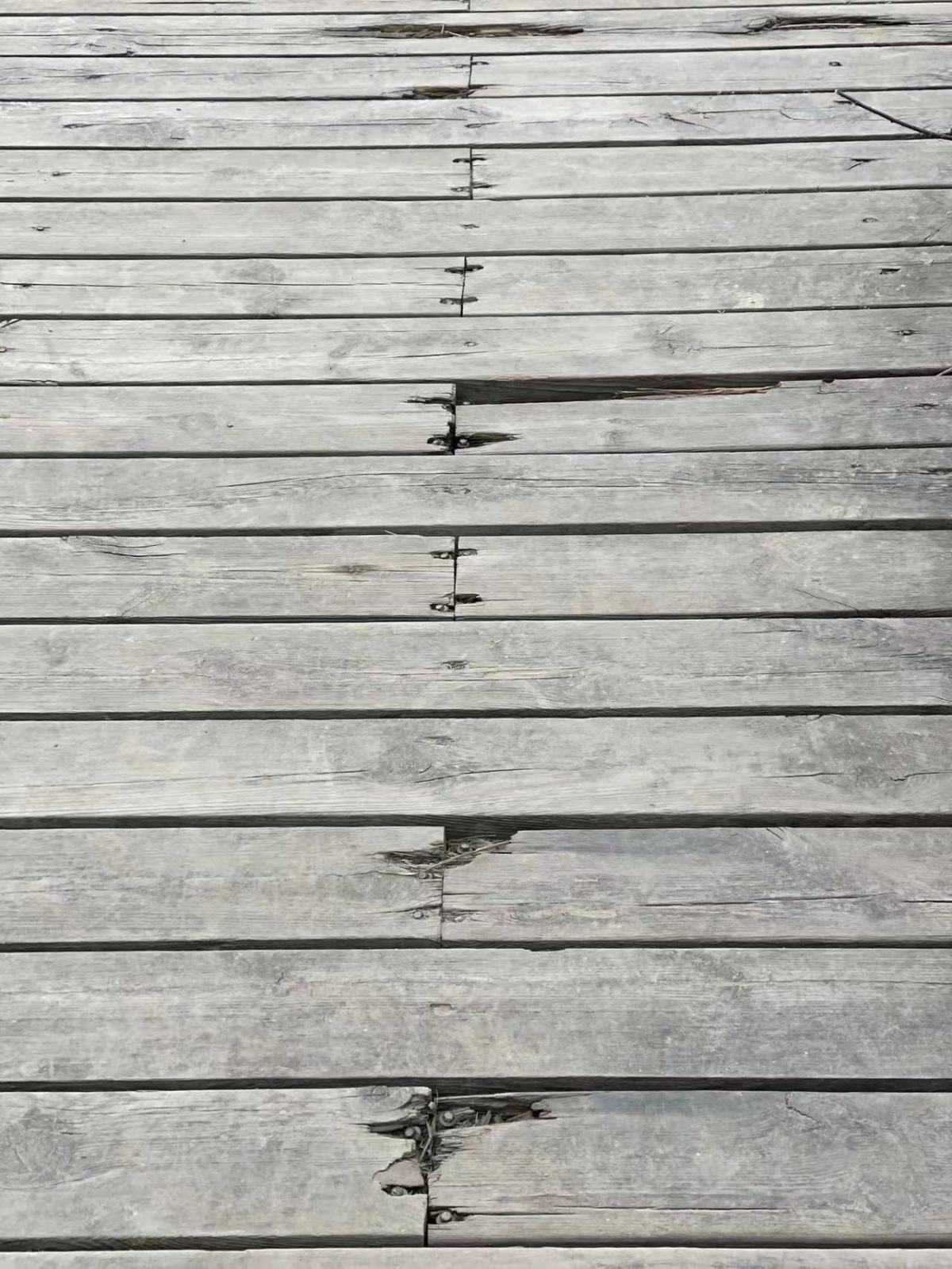 郑州黄河国家湿地公园设施能修缮吗 管理部门:正在采取措施