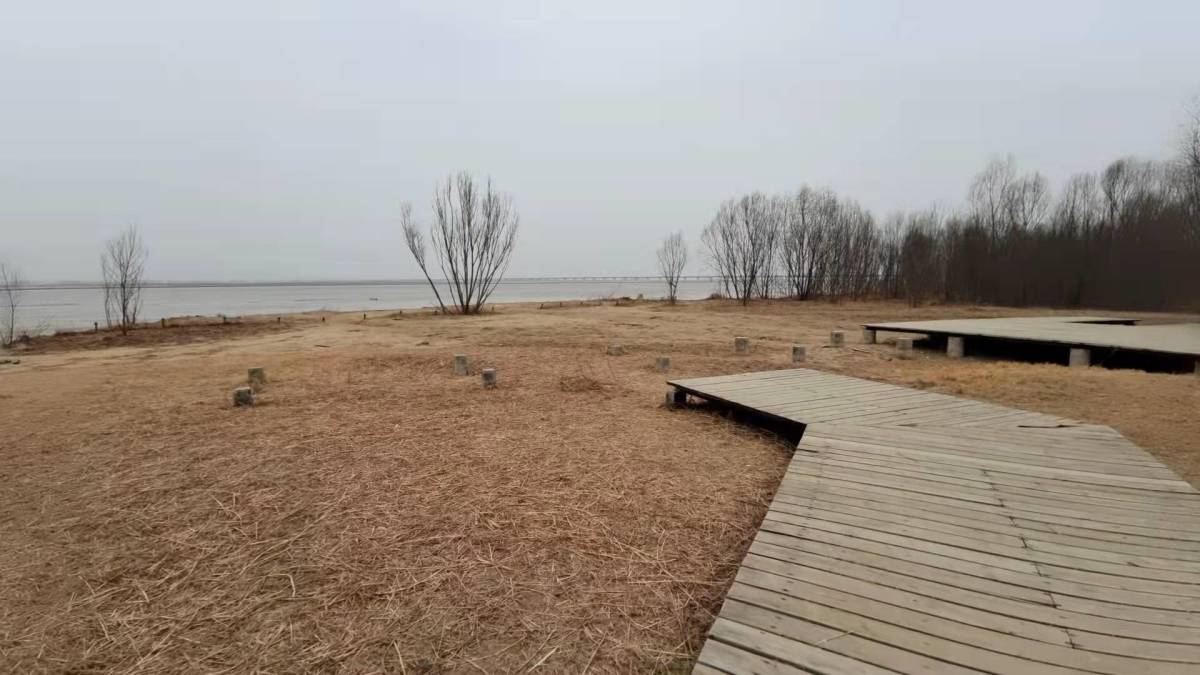 郑州黄河国家湿地公园设施能修缮吗 管理部门:正在采取措施