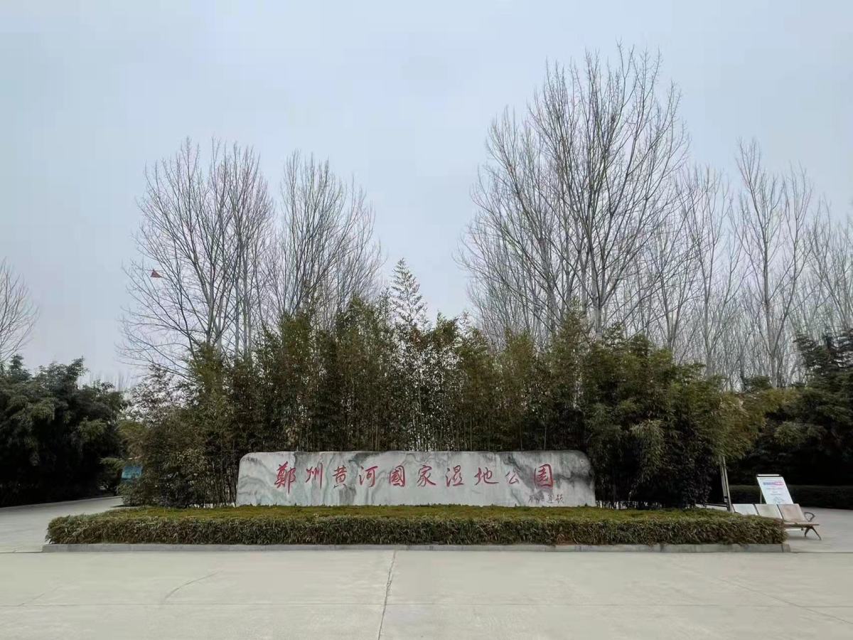 郑州黄河国家湿地公园设施能修缮吗 管理部门:正在采取措施