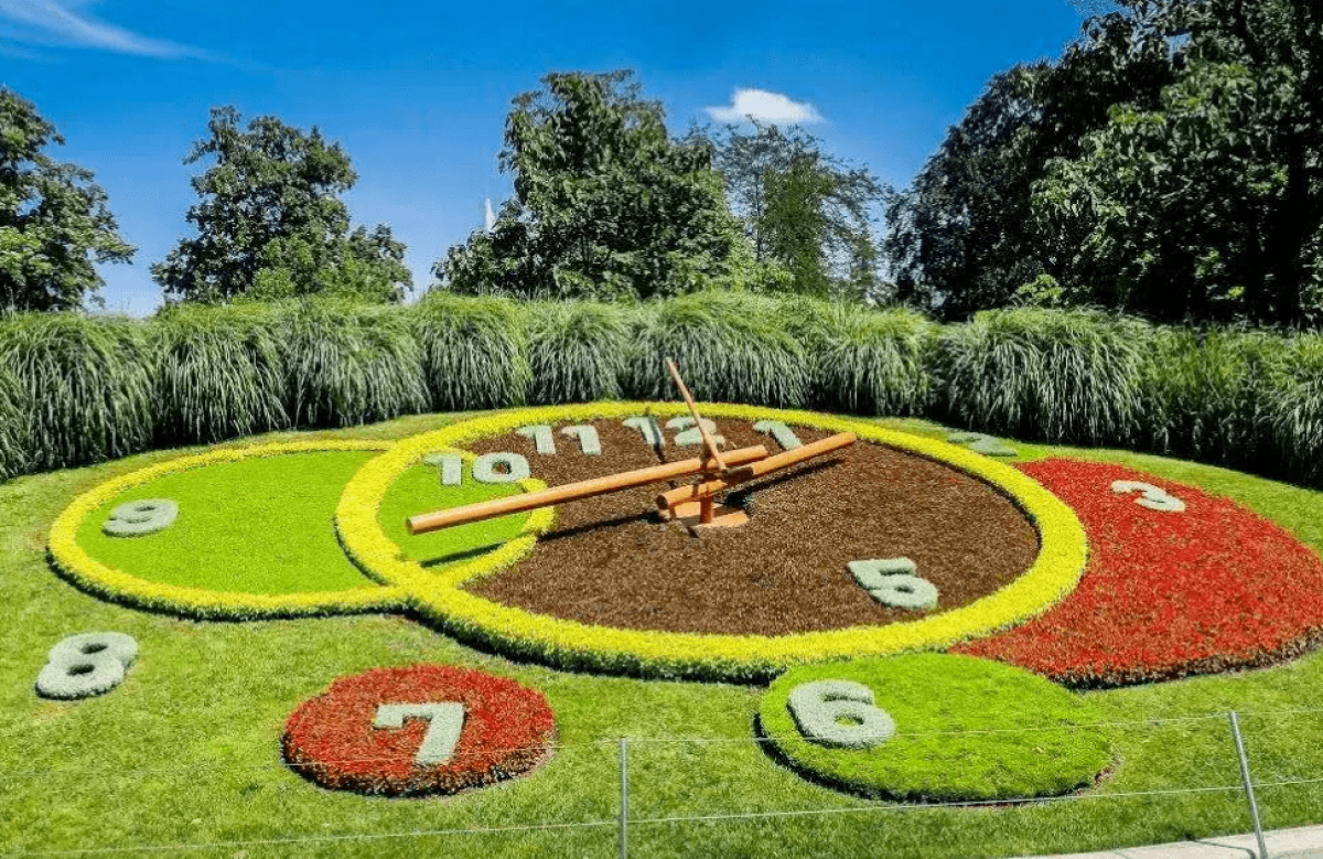 花钟亮相争奇斗艳郑州高新区宏达路小学双减下的课后作业