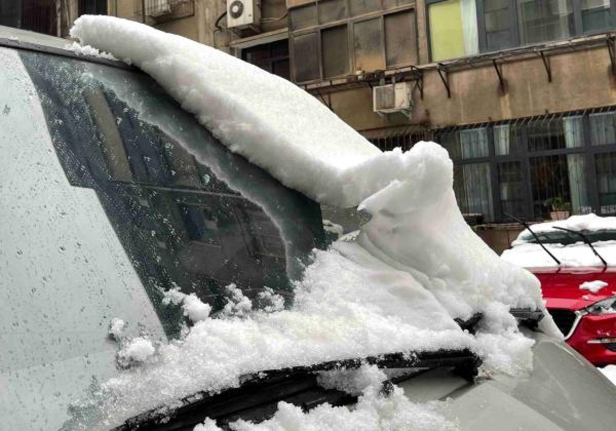 冰雪风暴横扫东北 暴雪冻雨全面到来_photo