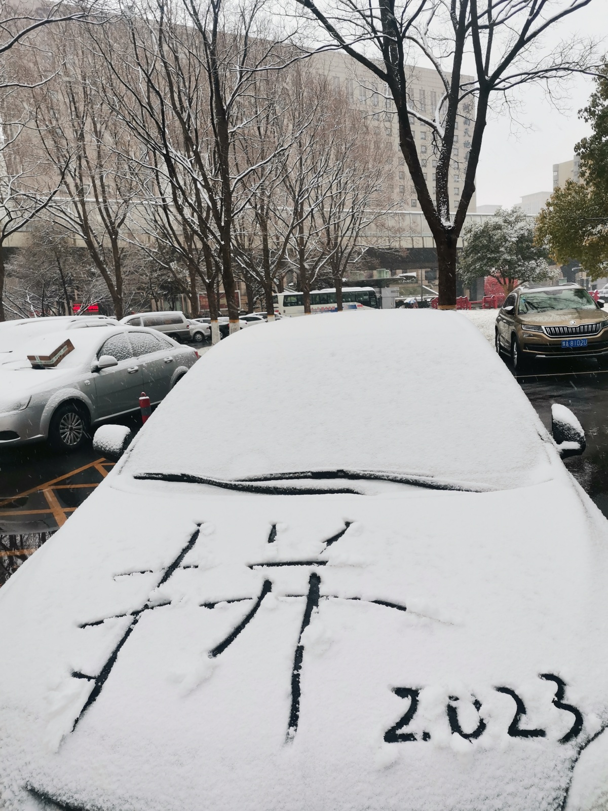 郑州的雪开始下大了 本周末还有大雪过程-大河新闻