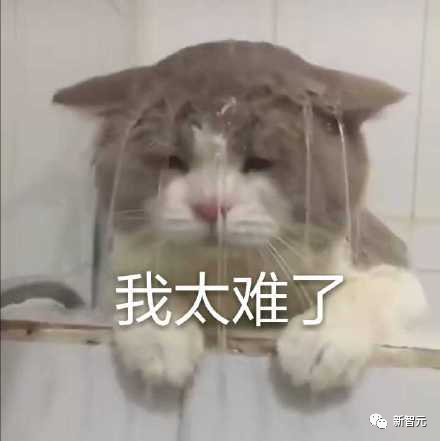 全球GPU缺口超40万张！算力之困中国大模型有解了PP电子 游戏(图14)