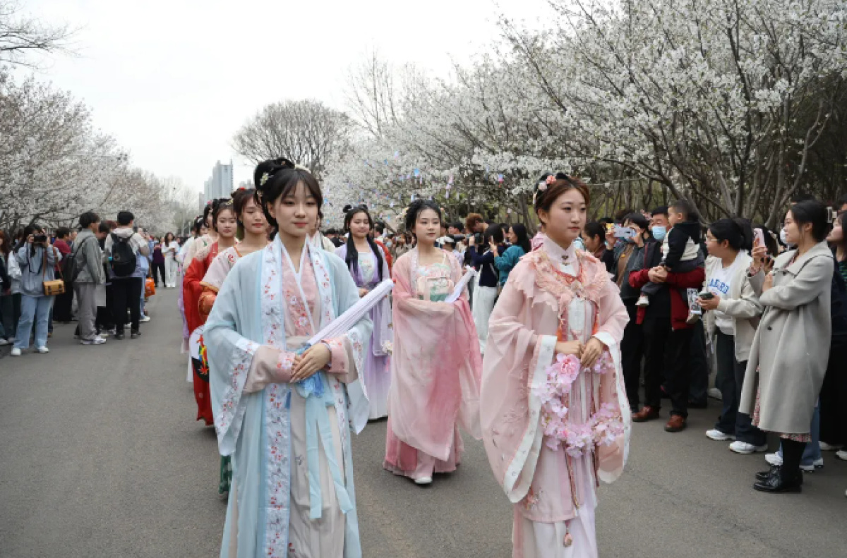 大河报豫视频趁春日渐好来许昌学院看樱花吧来河南拿捏春日汉服
