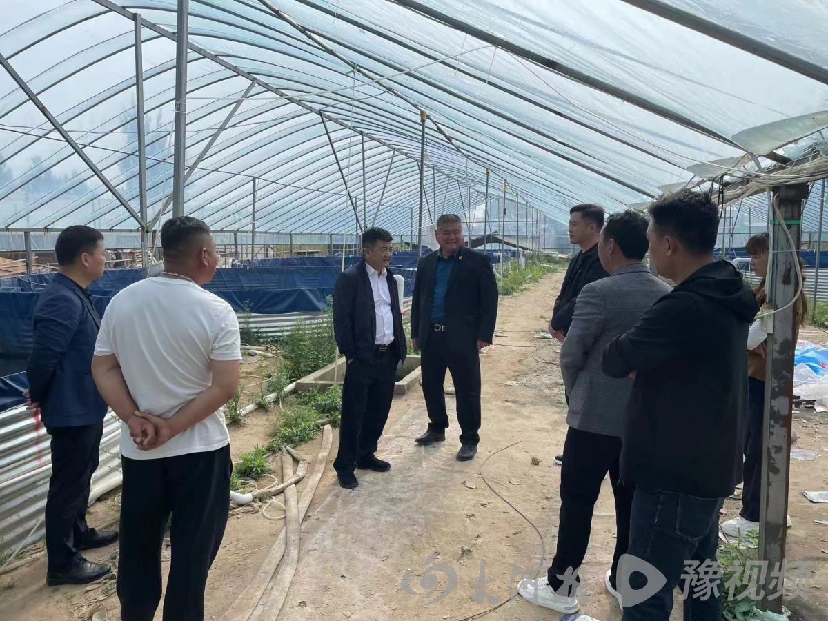 BOB半岛官网开封市示范区杏花营街道严守耕地保护红线 多措并举做好图斑整治工作(图2)