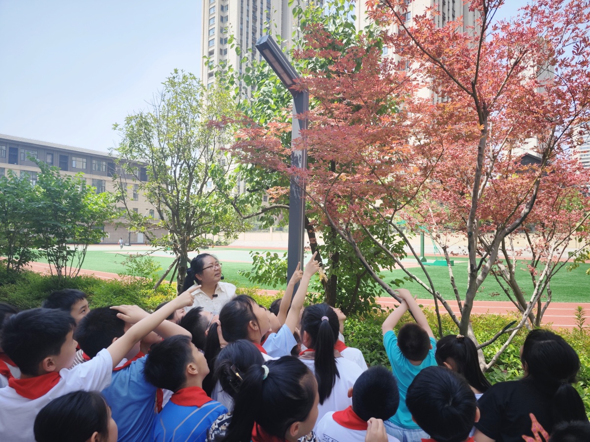 校园里的"绿野仙踪",郑州市创新街小学团结校区开启植物校本课程第一