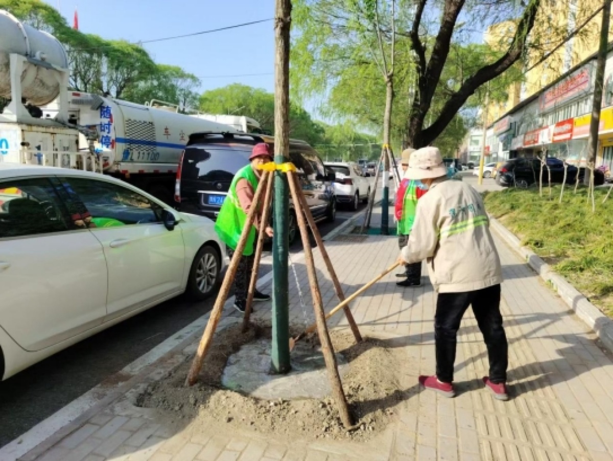 厂区绿化养护：构建和谐共生的绿色生态园